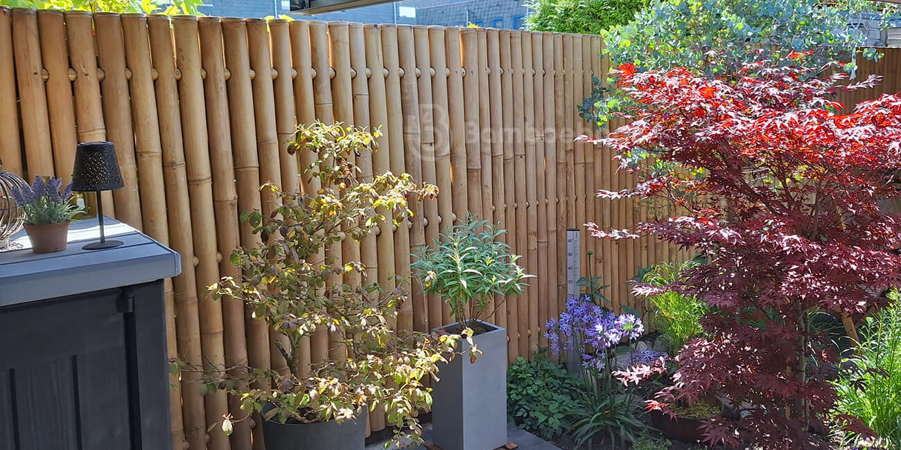 Bamboescherm Giga als schutting in de tuin